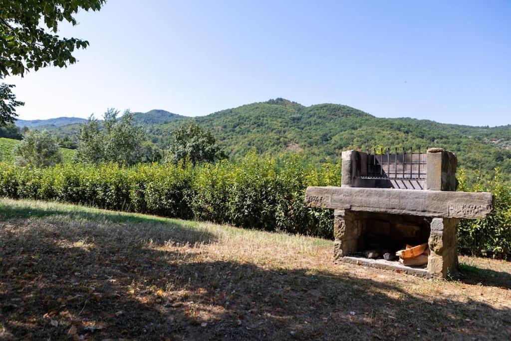 Fienile Panoramico Nel Chianti Villa Greve in Chianti Eksteriør bilde